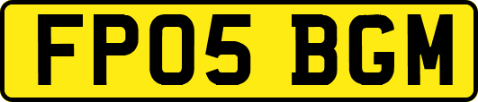 FP05BGM
