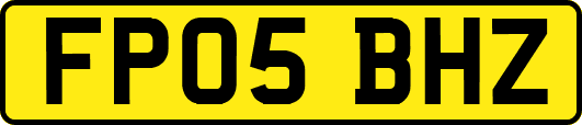 FP05BHZ