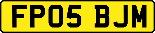 FP05BJM