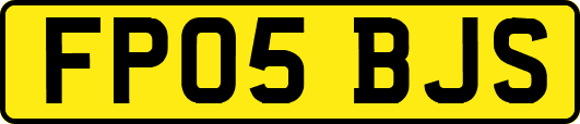 FP05BJS
