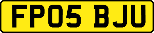 FP05BJU