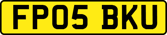 FP05BKU