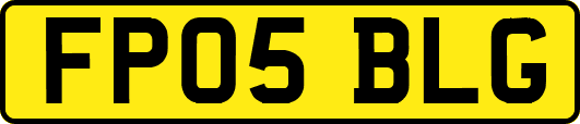 FP05BLG