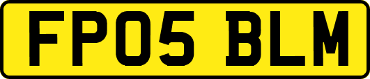 FP05BLM