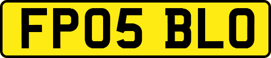 FP05BLO