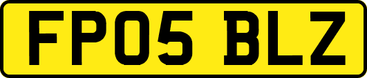 FP05BLZ