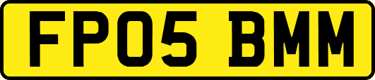 FP05BMM