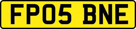 FP05BNE