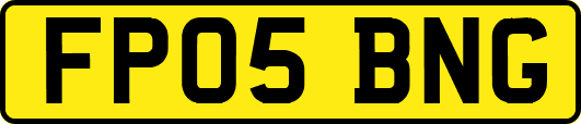 FP05BNG
