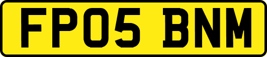 FP05BNM