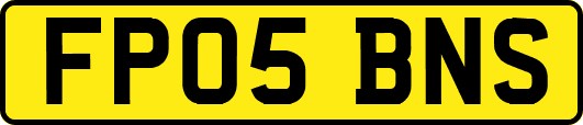 FP05BNS