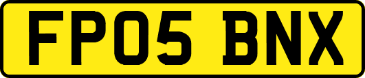FP05BNX