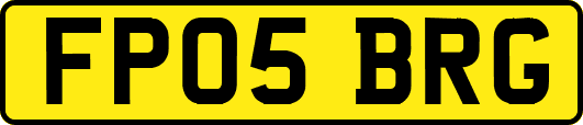 FP05BRG