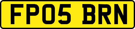 FP05BRN
