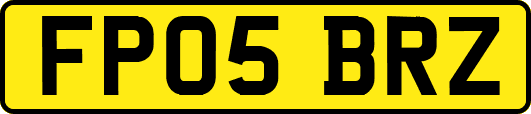 FP05BRZ