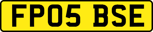 FP05BSE
