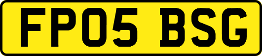 FP05BSG