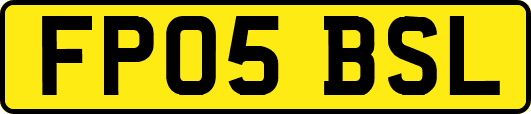 FP05BSL