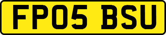 FP05BSU
