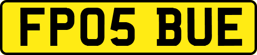 FP05BUE