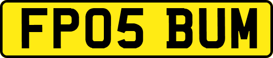 FP05BUM