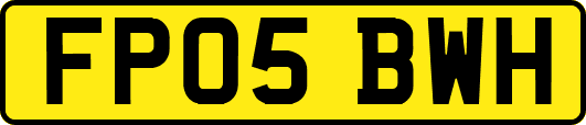 FP05BWH