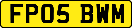 FP05BWM