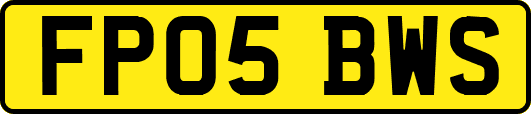 FP05BWS