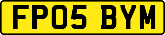 FP05BYM