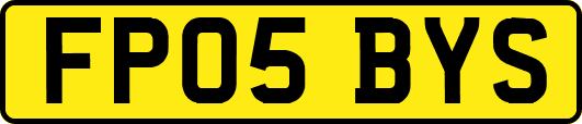 FP05BYS
