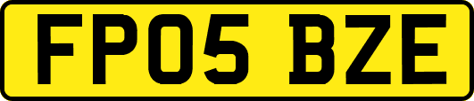 FP05BZE