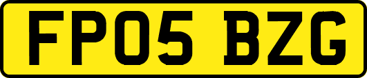 FP05BZG
