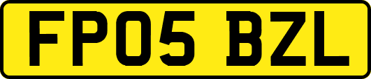 FP05BZL