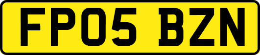 FP05BZN