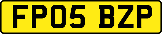 FP05BZP