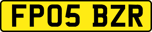 FP05BZR
