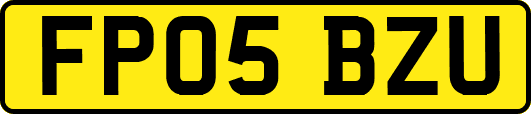 FP05BZU