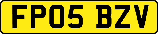 FP05BZV