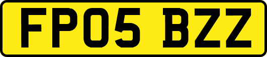 FP05BZZ