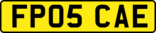 FP05CAE