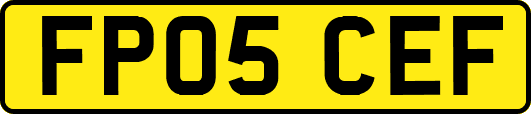 FP05CEF