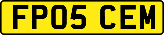 FP05CEM