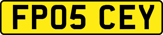 FP05CEY