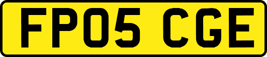 FP05CGE