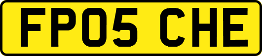 FP05CHE