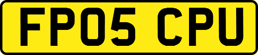 FP05CPU