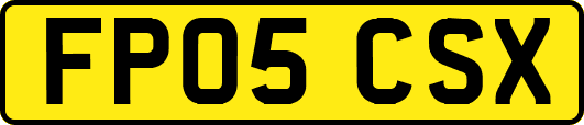 FP05CSX