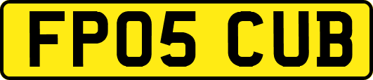 FP05CUB