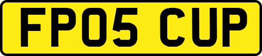 FP05CUP