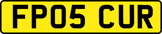 FP05CUR